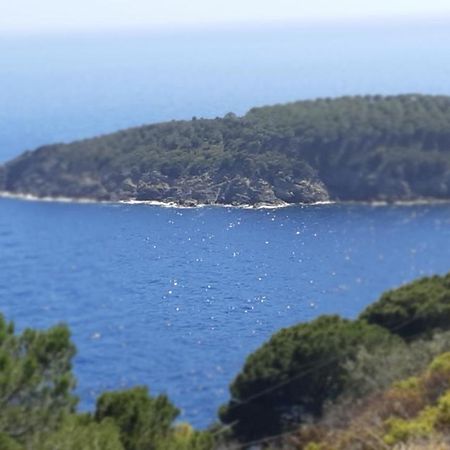 Residence La Calle Isola D'Elba Екстер'єр фото