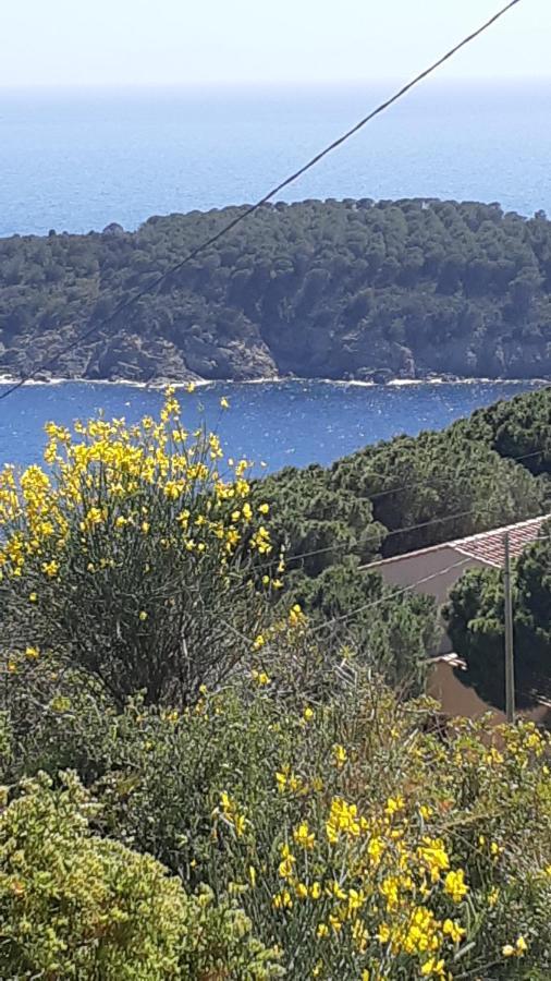 Residence La Calle Isola D'Elba Екстер'єр фото