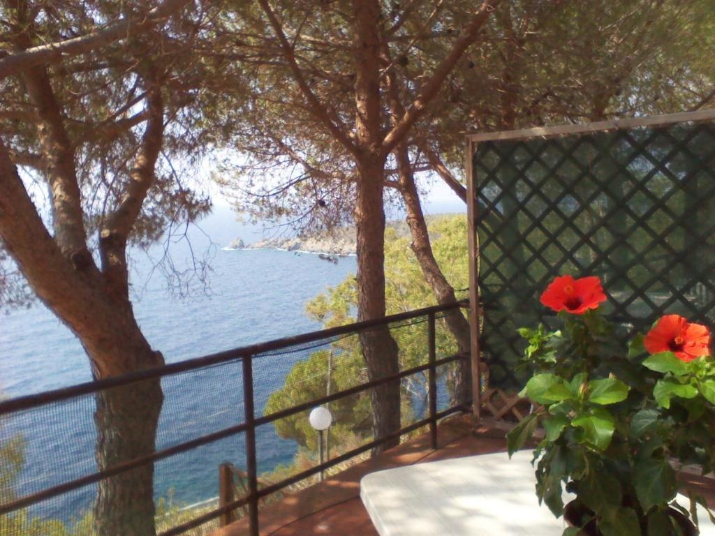Residence La Calle Isola D'Elba Екстер'єр фото